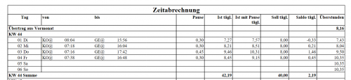 Abbildung 4: Ausschnitt der Ansicht erfasster Zeiten im PDF-Export