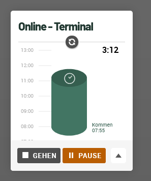 Abbildung 1: Online-Terminal Webbrowser